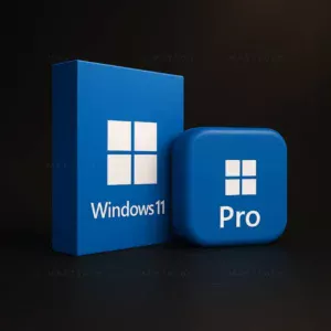 Buy Windows 11 Pro License Key in Bangladesh