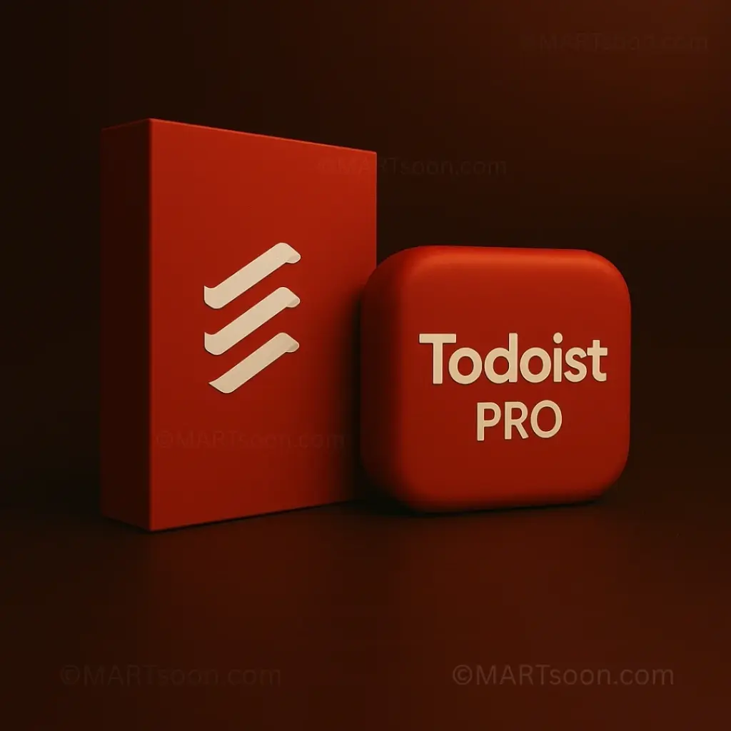 Todoist Pro